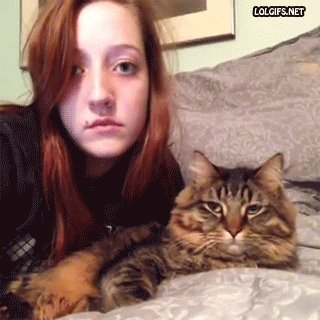 tumblr_muizr3SCaN1r3gb3zo1_400.gif