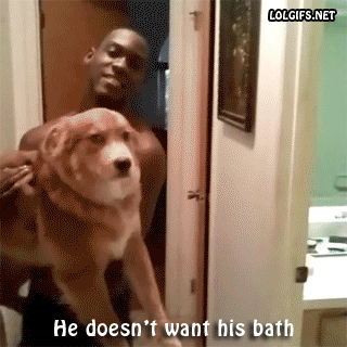 tumblr_mvv3lbRfCT1r3gb3zo1_400.gif
