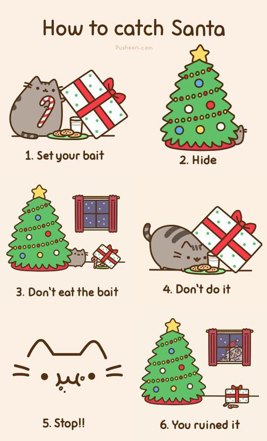 pusheen.com-1.jpg