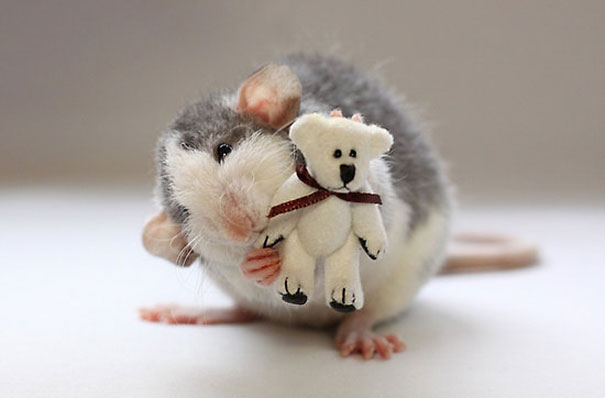 nici magnetic animals