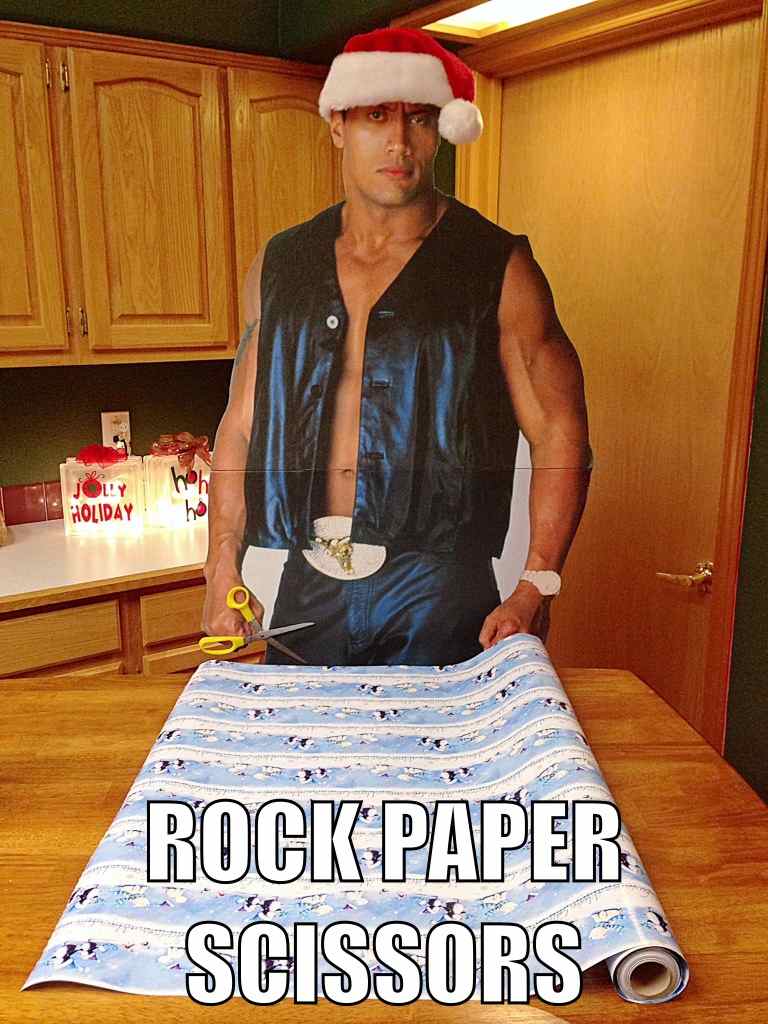 Family Goes Pun Crazy With Cardboard Cut-Out of The Rock (23 Pics