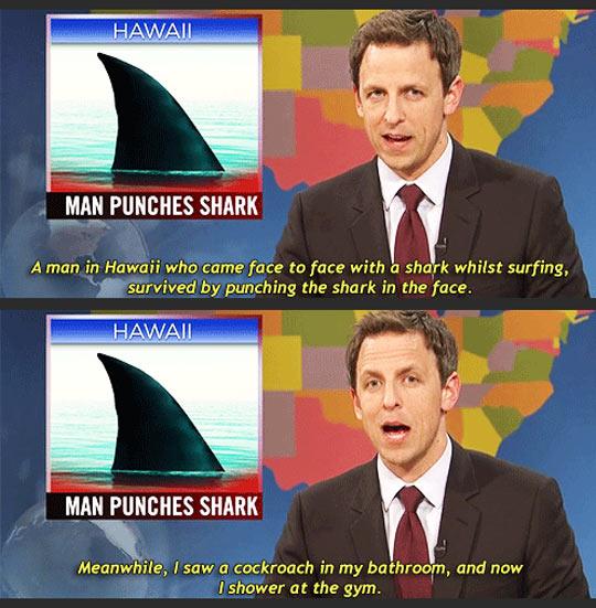 funny-Seth-Weekend-Update-shark-1.jpg