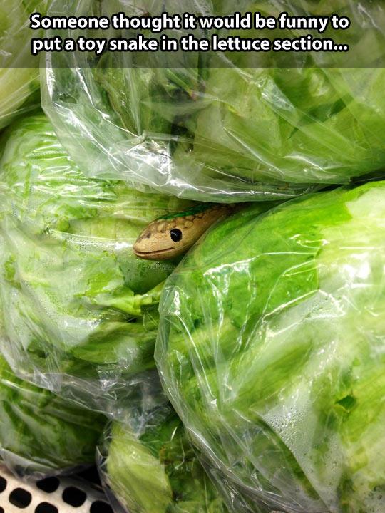 funny-toy-snake-lettuce-section-prank-1.jpg