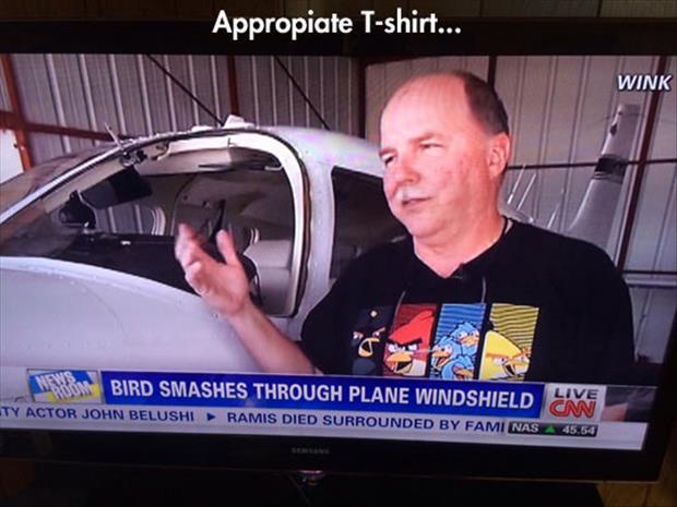 funny-angry-birds-tshirt-1.jpg