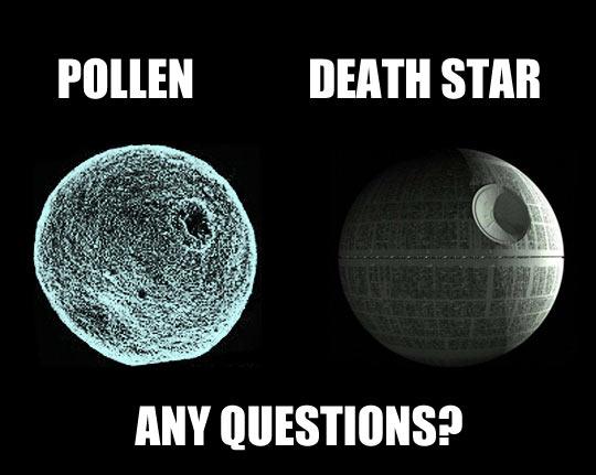 funny-Pollen-Death-Star-similar-shape-1.jpg