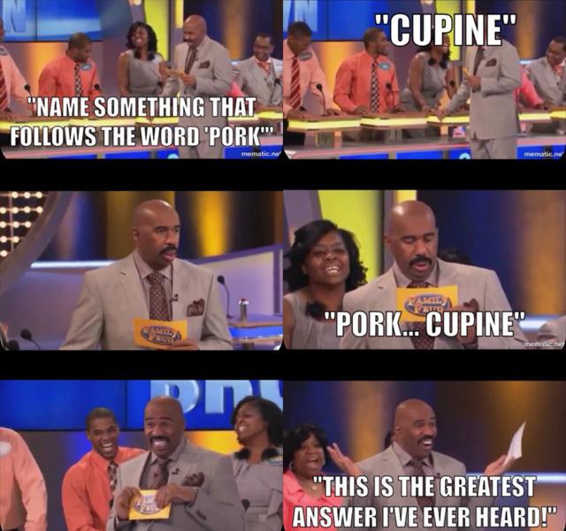 20 Funniest Moments From Family Feud With Steve Harvey