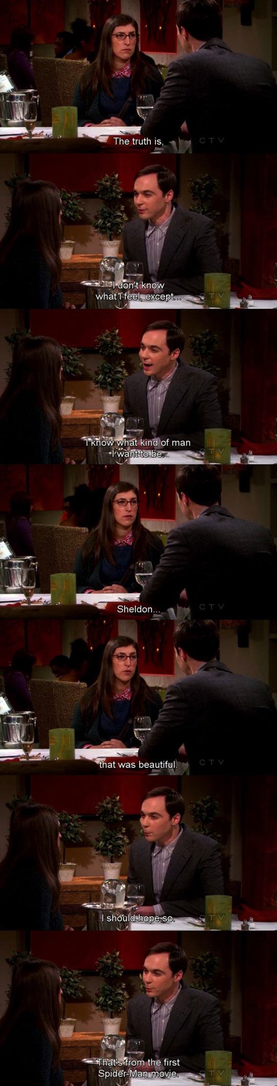 funny-Big-Bang-Theory-Sheldon-love-Spiderman-1.jpg