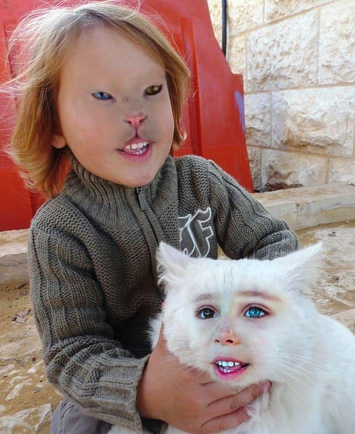 25 Horrifying and Hilarious Animal Face Swaps