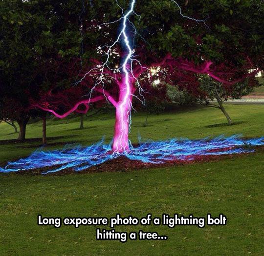 cool-long-exposure-photo-lightning-tree-