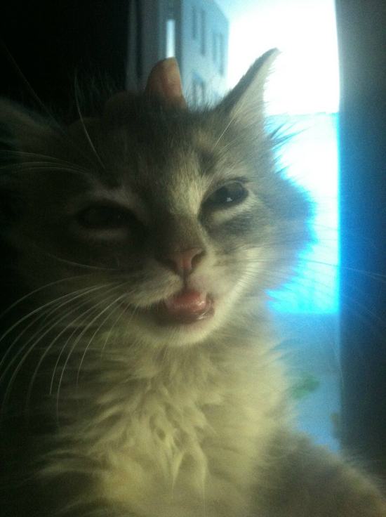 24 Animals That Are Totally on Drugs Right Now Don't Poke The Bear