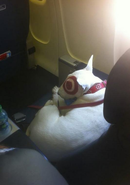 The 21 Most Interesting Passengers Ever Spotted on an Airplane | Pleated Jeans The 21 Most Interesting Passengers Ever Spotted on an Airplane | Pleated Jeans
