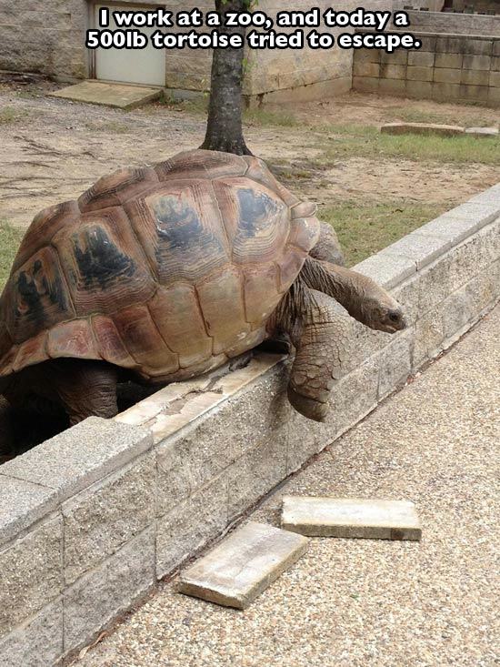 25 of the Greatest Zoo Moments Caught on Camera | Pleated Jeans