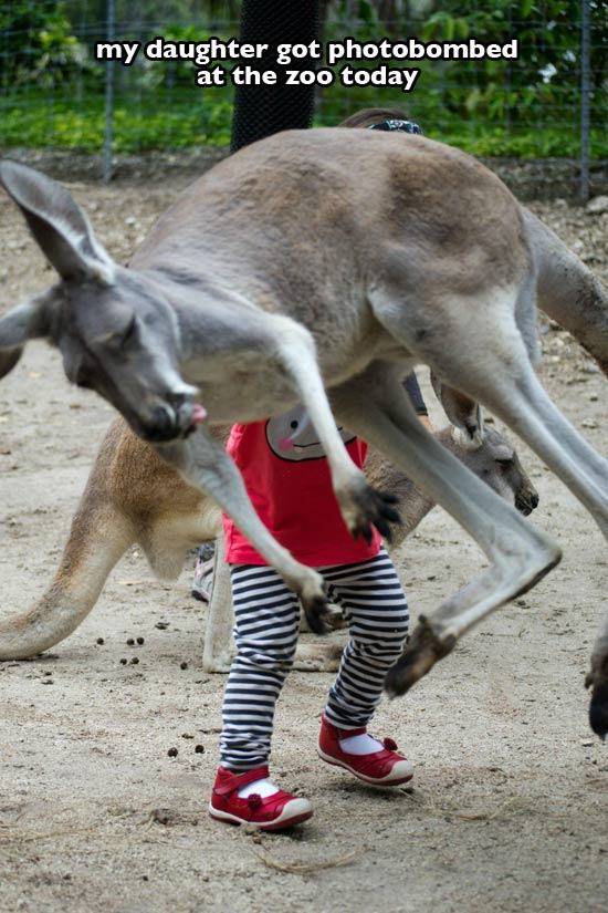 25 of the Greatest Zoo Moments Caught on Camera | Pleated Jeans