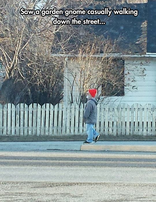 21 Ridiculous Things Spotted on the Daily Commute 21 Ridiculous Things Spotted on the Daily Commute