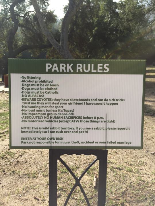 16 Funny Signs From Obvious Plant