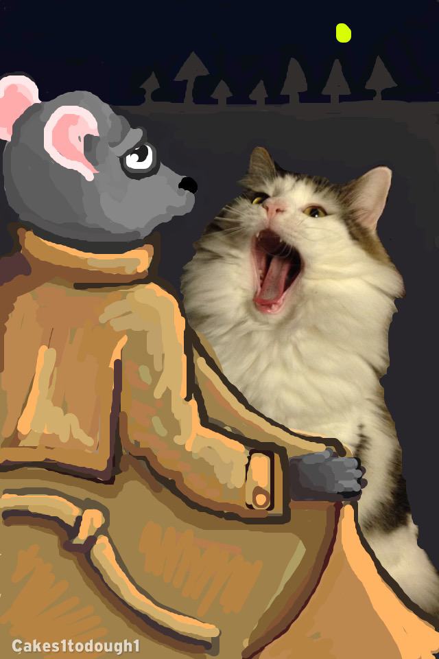 cats plus snapchat equals snapcat 17 pics pleated jeans