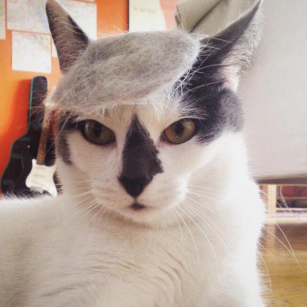 16 Donald Trump Cats | Pleated Jeans