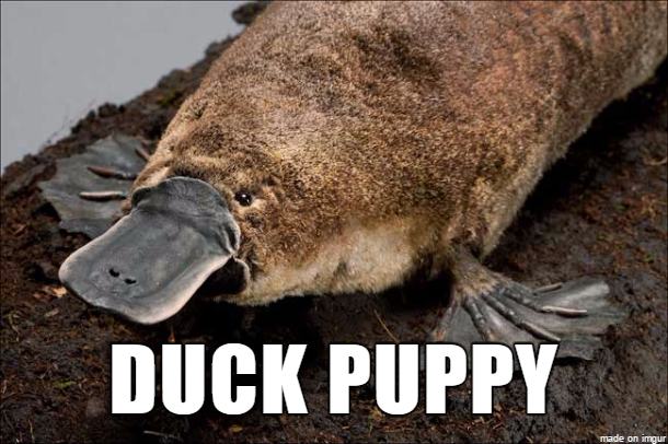 16 alternate names for