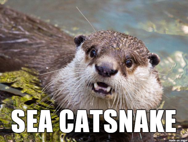 16 alternate names for
