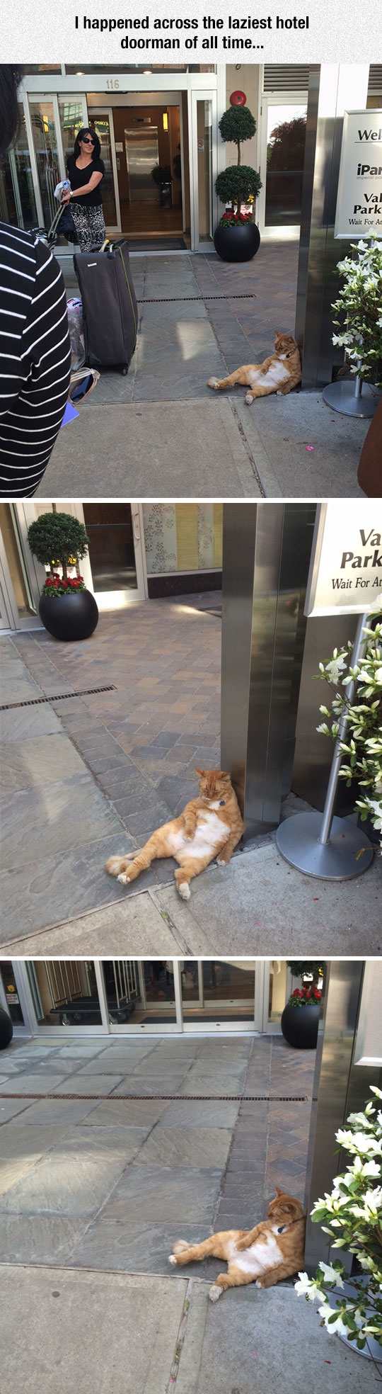 21 Times That Hotels Delivered An Unexpected Laugh Pleated Jeans 21 Times That Hotels Delivered An Unexpected Laugh
