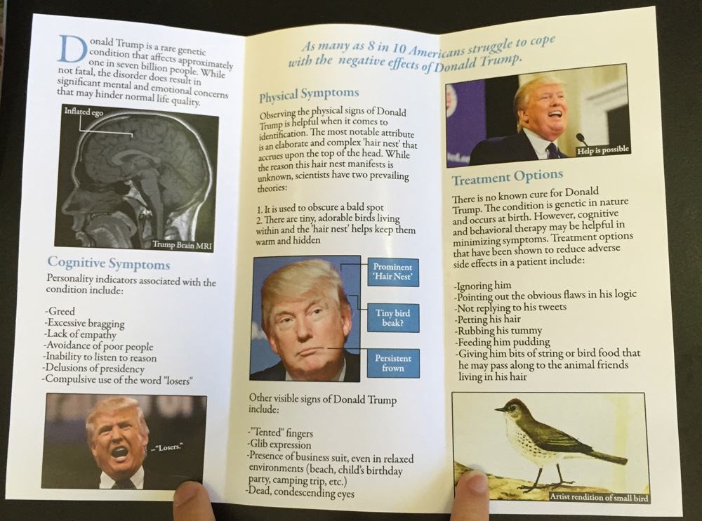 I Added This Fake Health Brochure About Donald Trump to a