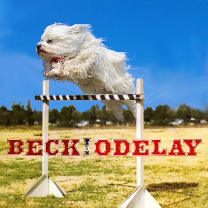 Collection 104+ Pictures How To Teach A Dog To Jump Into A Car Updated