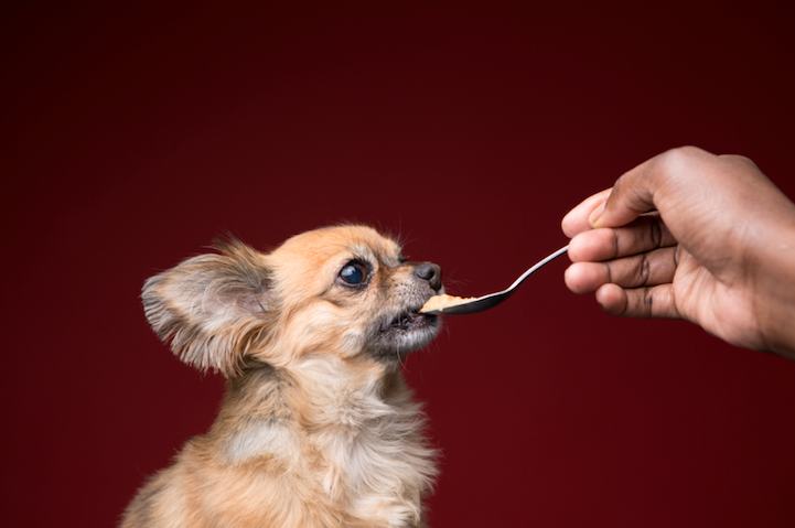 Photo Series of Dogs Licking Peanut Butter Off of Themselves (20 Pics)