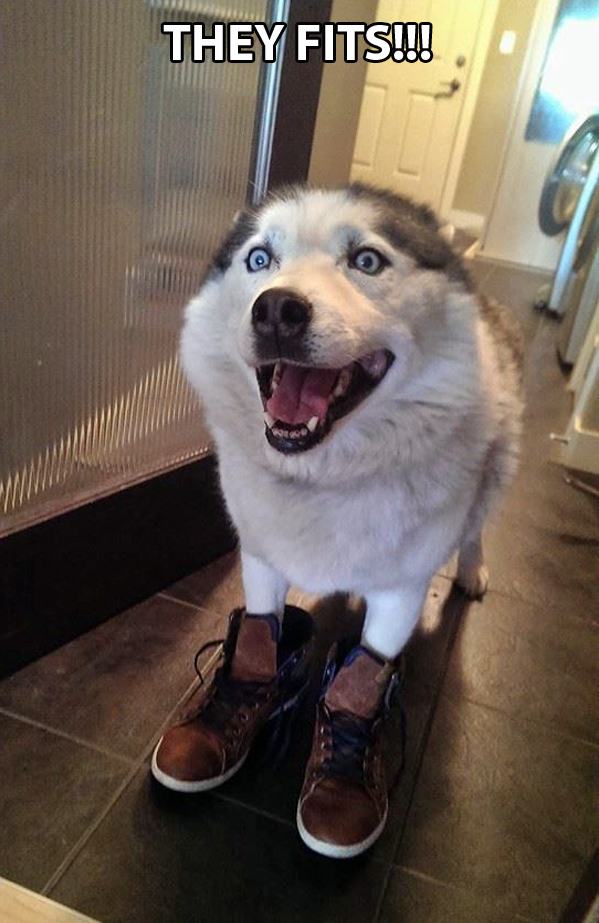21 of the Cutest Things That Have Ever Happened Pleated