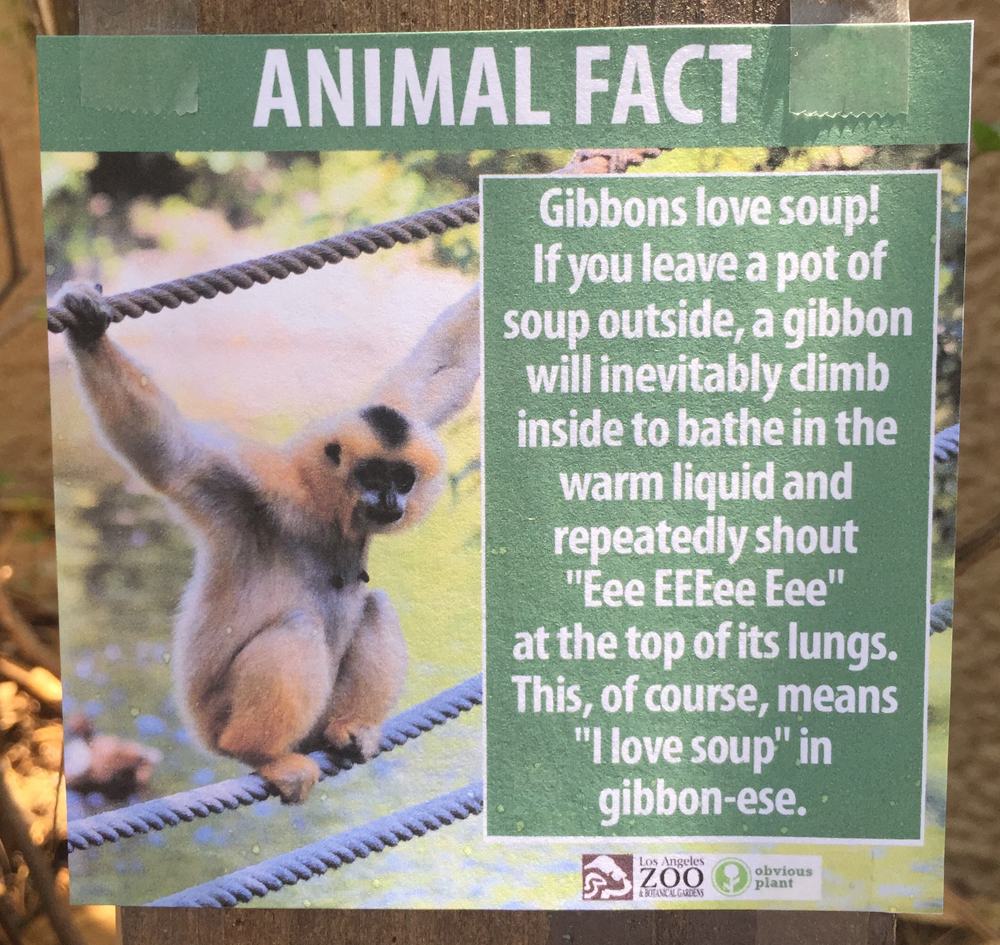 These Fake Animal Facts Were Posted at the Los Angeles Zoo ...