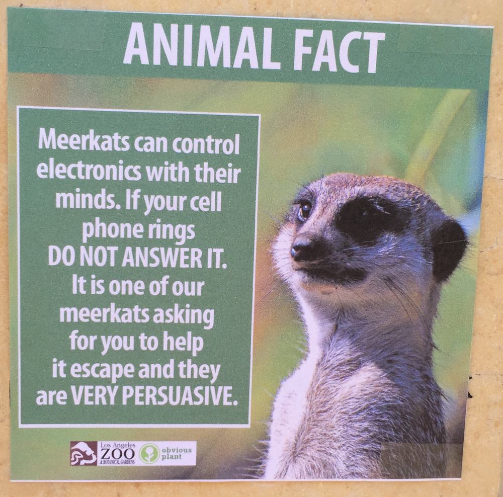 These Fake Animal Facts Were Posted at the Los Angeles Zoo | Pleated Jeans