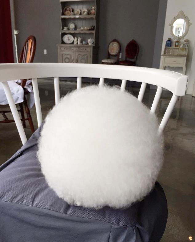 This Extremely Cute Dog Looks Just Like a Giant Cotton Ball Pleated Jeans