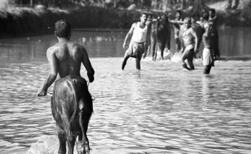19 Photos Taken at Just the Right Angle | Pleated-Jeans.com