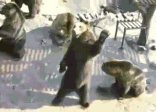 trying-to-get-the-bartenders-attention.gif