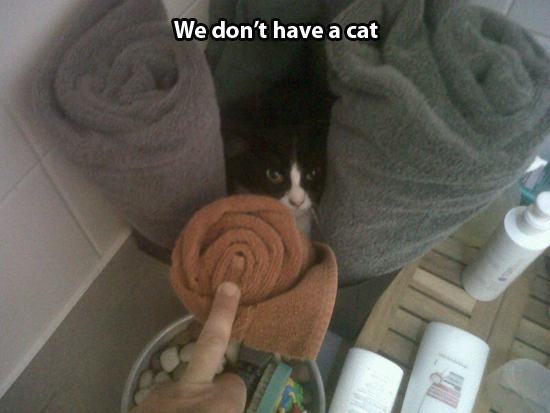 This Is Not My Cat 24 Pics Pleated Jeans This Is Not My Cat 24 Pics Pleated Jeans